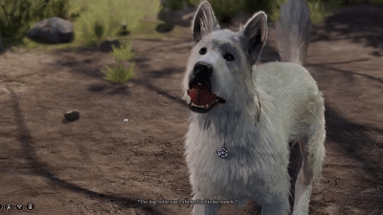 《博德之门3》玩家为救狗狗 损失一个半小时存档
