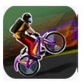 bmx小轮车特技