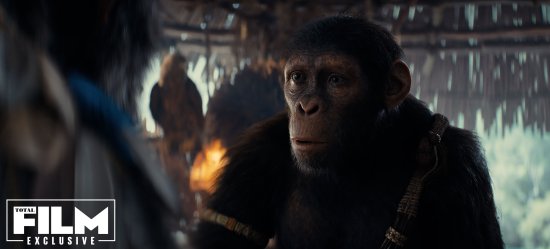 《猩球崛起4：新世界》释新剧照：新猩猩主角亮相