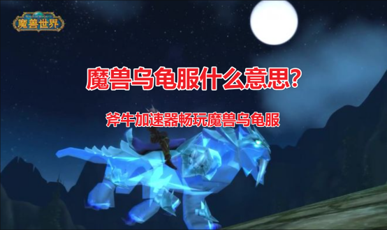 乌龟服魔兽是什么意思，魔兽乌龟服怎么样玩？